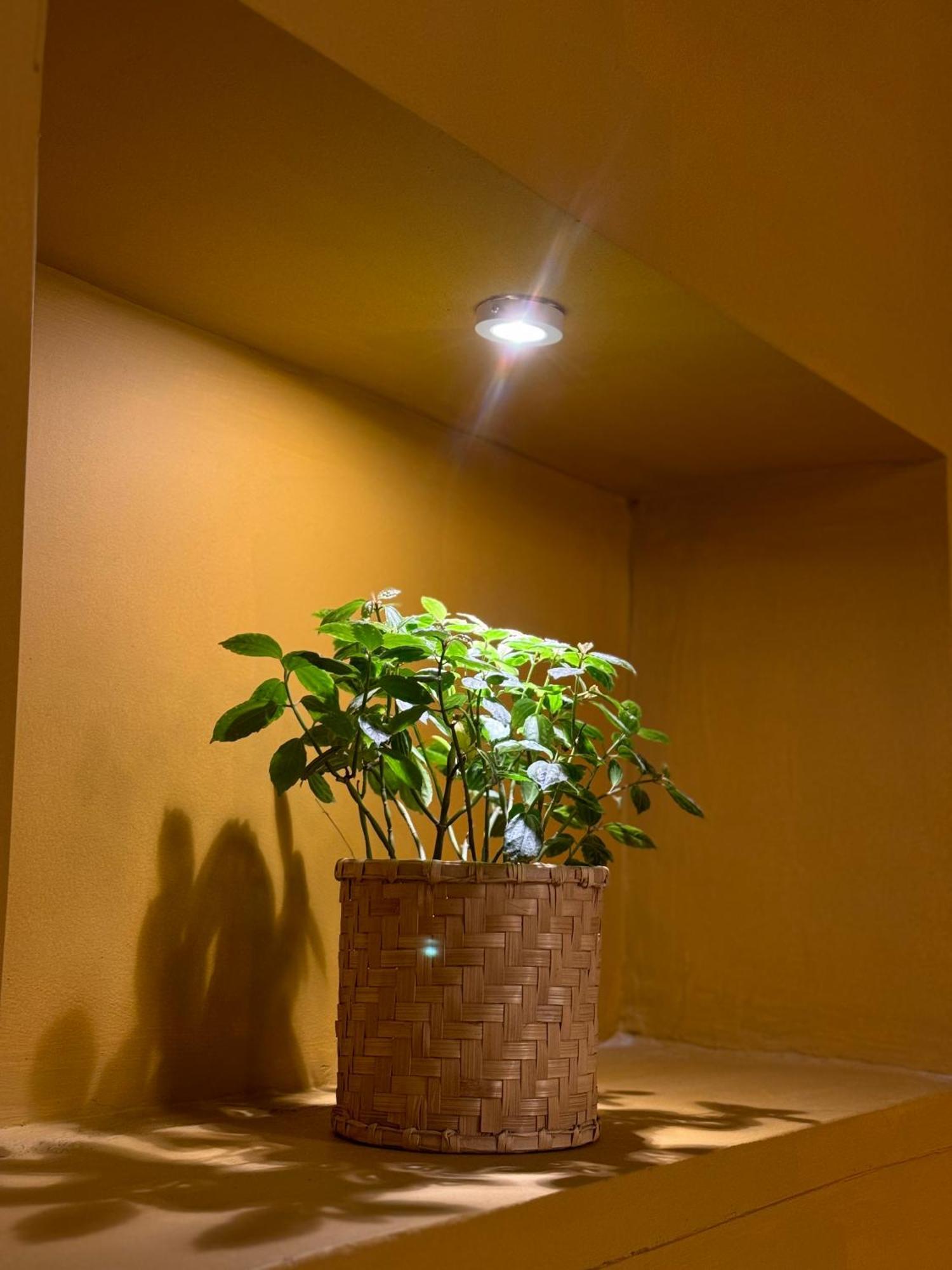 The Melo Pomelo Courtyard. Apartment Kathmandu Exterior photo